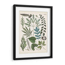Fernos Ferns Vii | Cuadro decorativo de Canvas Lab