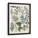 Fernos Ferns Vii | Cuadro decorativo de Canvas Lab