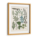 Fernos Ferns Vii | Cuadro decorativo de Canvas Lab