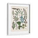 Fernos Ferns Vii | Cuadro decorativo de Canvas Lab