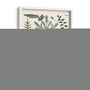 Fernos Ferns Vii | Cuadro decorativo de Canvas Lab