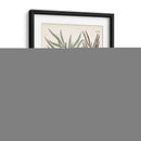 Fernos Ferns Viii | Cuadro decorativo de Canvas Lab