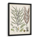 Fernos Ferns Viii | Cuadro decorativo de Canvas Lab