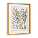 Fernos Ferns Viii | Cuadro decorativo de Canvas Lab