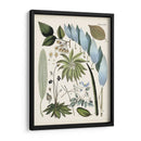 Fantrifus Ferns Ix | Cuadro decorativo de Canvas Lab