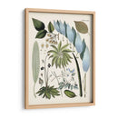 Fantrifus Ferns Ix | Cuadro decorativo de Canvas Lab