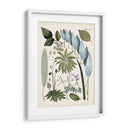 Fantrifus Ferns Ix | Cuadro decorativo de Canvas Lab