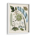 Fantrifus Ferns Ix | Cuadro decorativo de Canvas Lab