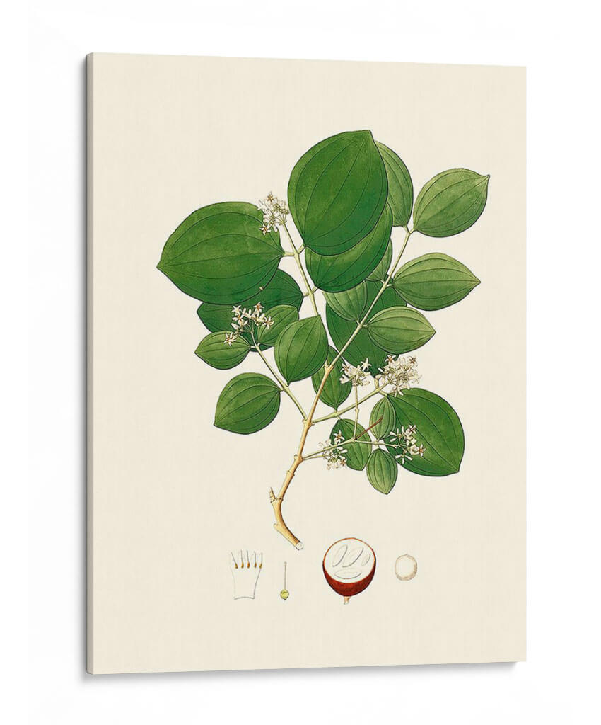 Follaje Verde Primavera I | Cuadro decorativo de Canvas Lab