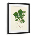 Follaje Verde Primavera I | Cuadro decorativo de Canvas Lab