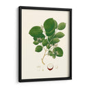 Follaje Verde Primavera I | Cuadro decorativo de Canvas Lab