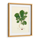 Follaje Verde Primavera I | Cuadro decorativo de Canvas Lab