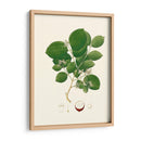 Follaje Verde Primavera I | Cuadro decorativo de Canvas Lab
