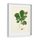 Follaje Verde Primavera I | Cuadro decorativo de Canvas Lab
