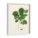 Follaje Verde Primavera I | Cuadro decorativo de Canvas Lab