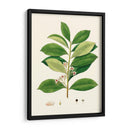 Follaje Verde De Primavera Iii | Cuadro decorativo de Canvas Lab