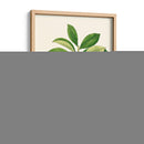 Follaje Verde De Primavera Iii | Cuadro decorativo de Canvas Lab