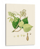 Follaje Verde De Primavera Iv | Cuadro decorativo de Canvas Lab