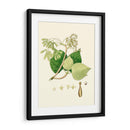 Follaje Verde De Primavera Iv | Cuadro decorativo de Canvas Lab