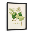 Follaje Verde De Primavera Iv | Cuadro decorativo de Canvas Lab