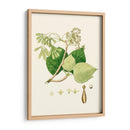 Follaje Verde De Primavera Iv | Cuadro decorativo de Canvas Lab