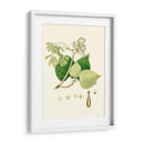 Follaje Verde De Primavera Iv | Cuadro decorativo de Canvas Lab