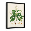Follaje Verde De Primavera V | Cuadro decorativo de Canvas Lab