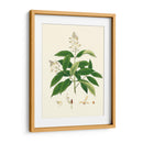Follaje Verde De Primavera V | Cuadro decorativo de Canvas Lab