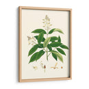 Follaje Verde De Primavera V | Cuadro decorativo de Canvas Lab