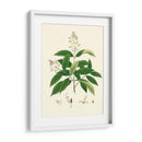 Follaje Verde De Primavera V | Cuadro decorativo de Canvas Lab
