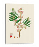 Follaje Verde Primavera Vi | Cuadro decorativo de Canvas Lab