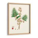 Follaje Verde Primavera Vi | Cuadro decorativo de Canvas Lab