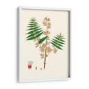 Follaje Verde Primavera Vi | Cuadro decorativo de Canvas Lab