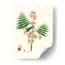 Follaje Verde Primavera Vi | Cuadro decorativo de Canvas Lab