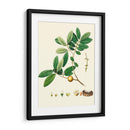 Follaje Verde De Primavera Vii | Cuadro decorativo de Canvas Lab