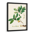 Follaje Verde De Primavera Vii | Cuadro decorativo de Canvas Lab