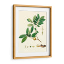 Follaje Verde De Primavera Vii | Cuadro decorativo de Canvas Lab