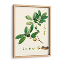 Follaje Verde De Primavera Vii | Cuadro decorativo de Canvas Lab