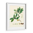 Follaje Verde De Primavera Vii | Cuadro decorativo de Canvas Lab