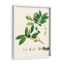 Follaje Verde De Primavera Vii | Cuadro decorativo de Canvas Lab
