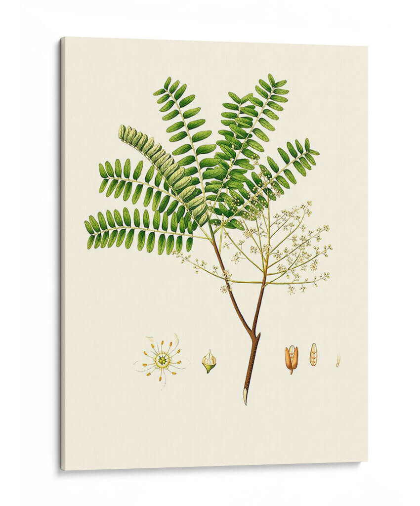 Follaje Verde Primavera Viii | Cuadro decorativo de Canvas Lab