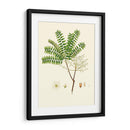 Follaje Verde Primavera Viii | Cuadro decorativo de Canvas Lab