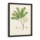 Follaje Verde Primavera Viii | Cuadro decorativo de Canvas Lab