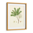 Follaje Verde Primavera Viii | Cuadro decorativo de Canvas Lab