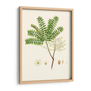 Follaje Verde Primavera Viii | Cuadro decorativo de Canvas Lab