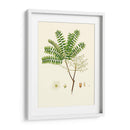 Follaje Verde Primavera Viii | Cuadro decorativo de Canvas Lab
