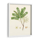 Follaje Verde Primavera Viii | Cuadro decorativo de Canvas Lab