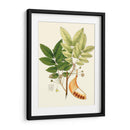 Follaje Verde Primavera Ix | Cuadro decorativo de Canvas Lab