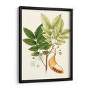 Follaje Verde Primavera Ix | Cuadro decorativo de Canvas Lab