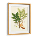 Follaje Verde Primavera Ix | Cuadro decorativo de Canvas Lab